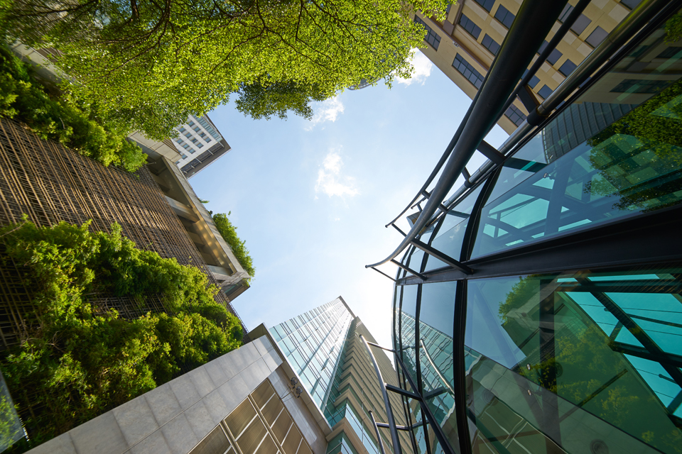 green building and energy efficiency consultancy with bureau veritas
