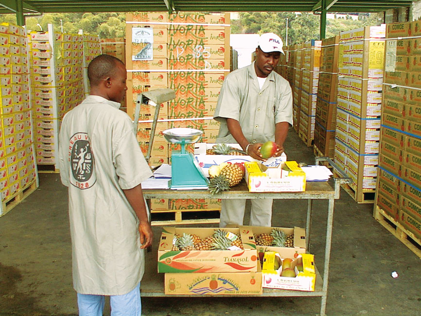 Food manufacturing processing