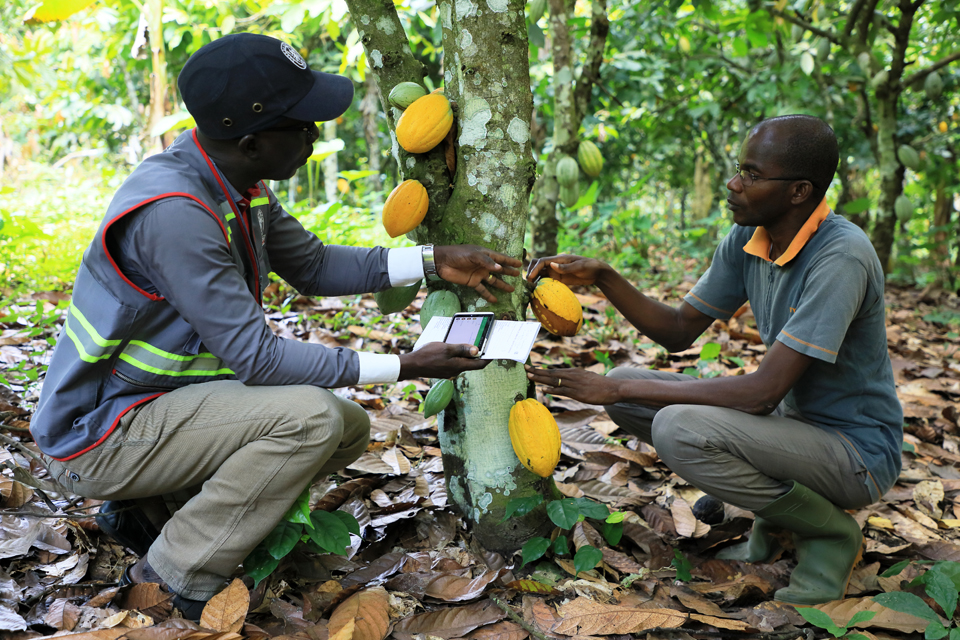sustainable certification