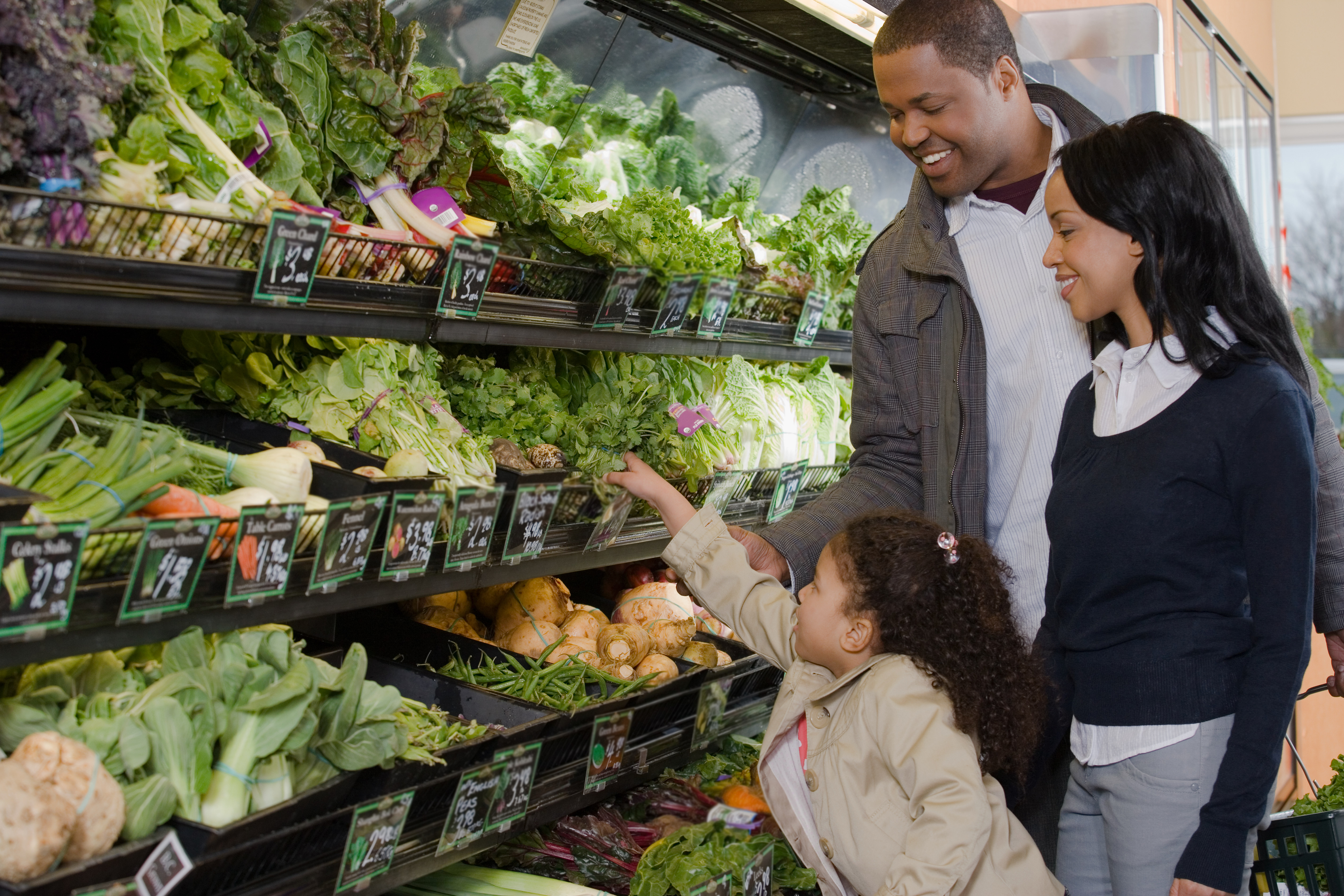 Product Traceability platforms