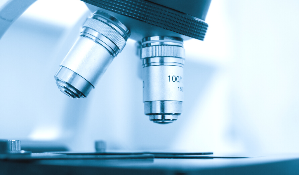 food pesticide services by BV