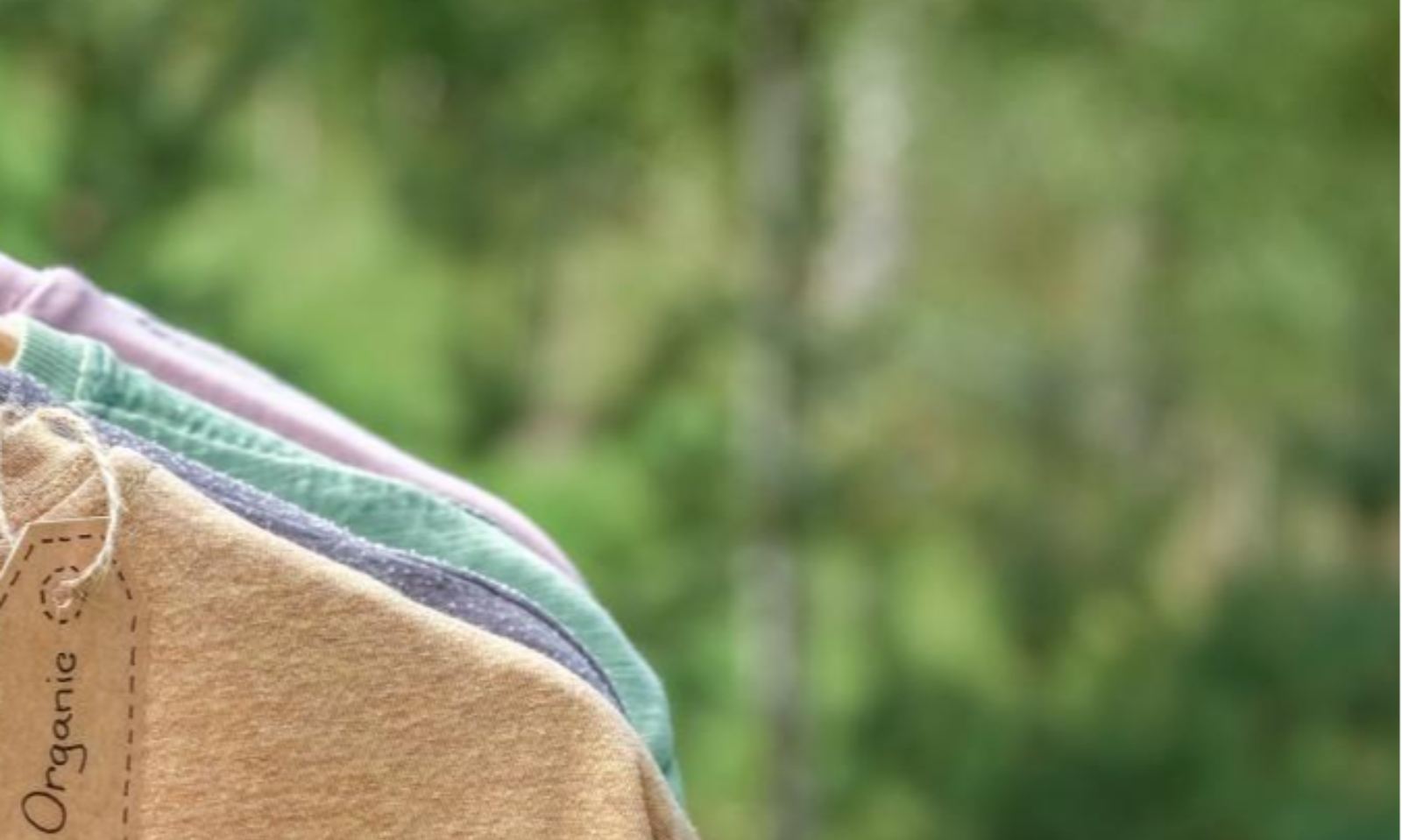 Acquisition of Amsfashion