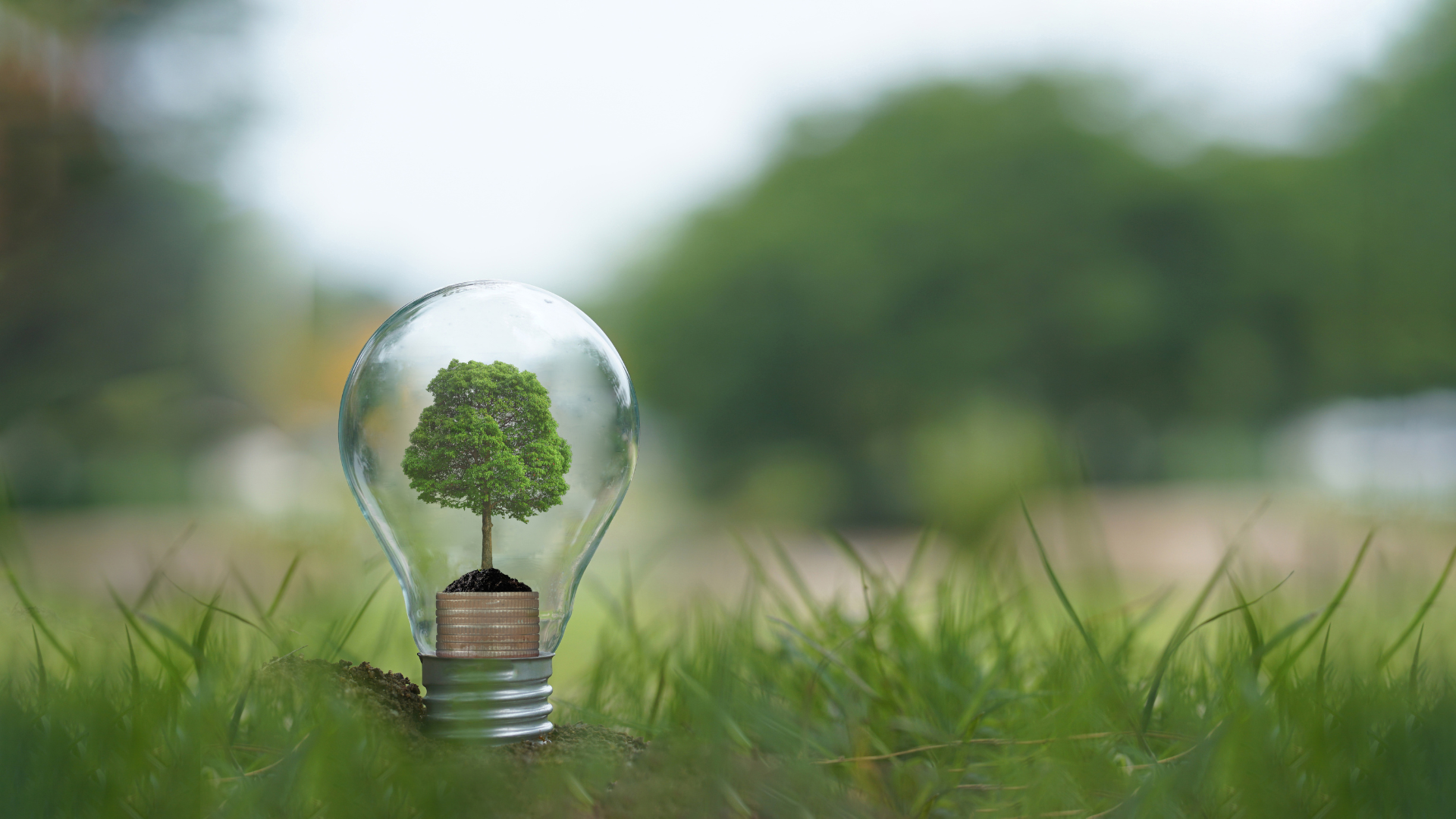 Bureau Veritas to Participate in Nigeria Oil & Gas (NOG) Energy Week ...