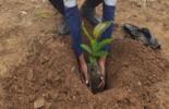 Earth day BV Mozambique