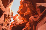 Shutterstock_Image