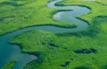 Webinar: The Evolving Landscape of Carbon Markets Cover