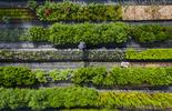 sustainable agriculture certification