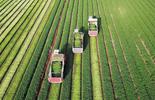 Farming 
