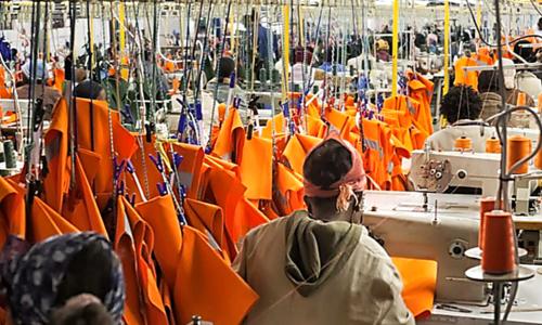 Environmental Audits for Consumer Products