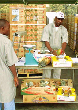 Production & transformation alimentaire