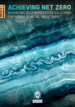 BV net zero WP