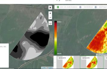Chaume de Maïs sous pivot