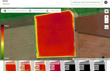 Culture de Betteraves sucrières