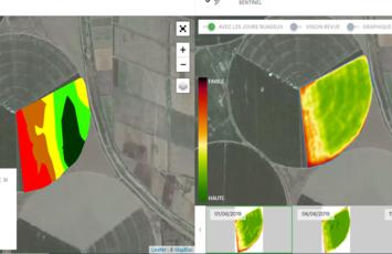Maïs Fourrage sous pivot