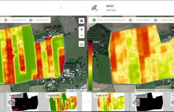 Prairie en pâturage tournant