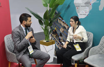 IATF 13