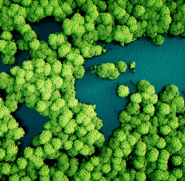 Our Commitment to Sustainability 