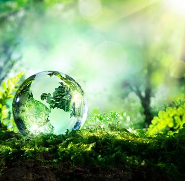 Sustainability
