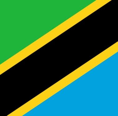 Tanzania Flag