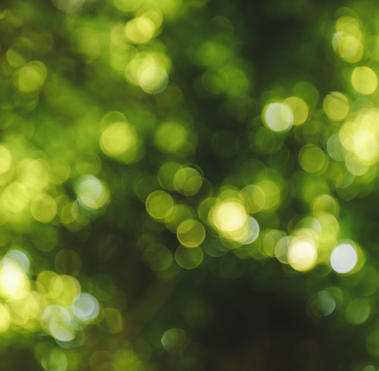 green background